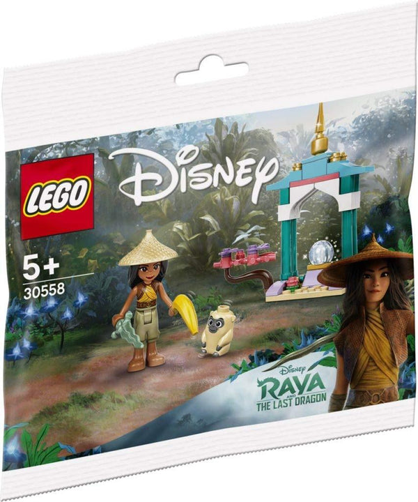 LEGO 30558 Raya and the Ongi's Heart Lands Adventure – Like New | Grade A