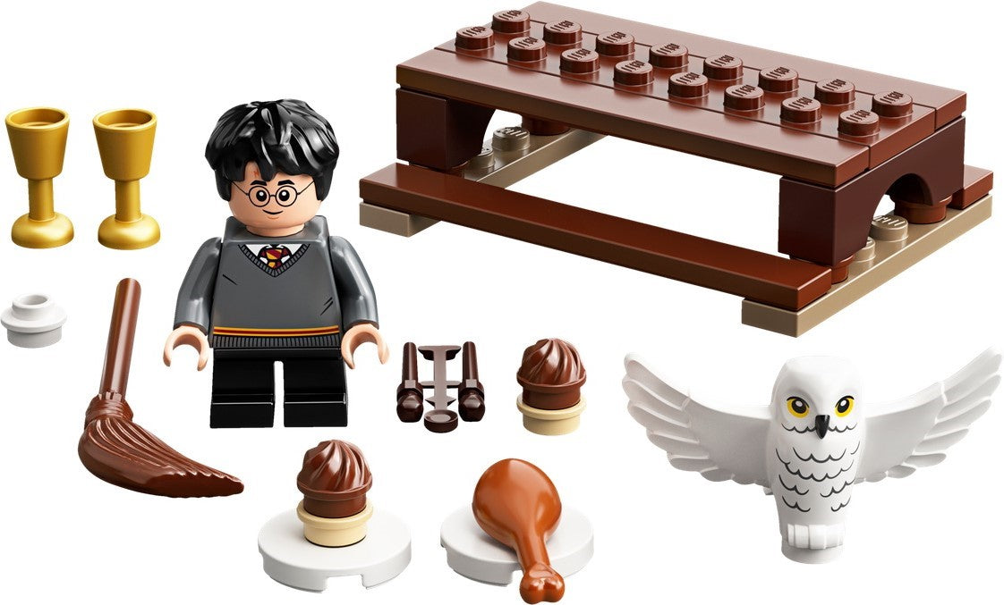 LEGO 30420 Harry Potter et Hedwige : la livraison du hibou – Comme neuf | Grade A
