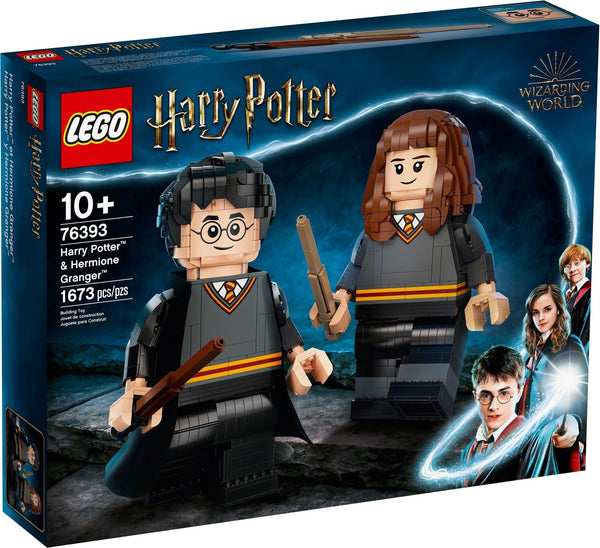 LEGO 76393 Harry Potter & Hermione Granger – Used | Grade A